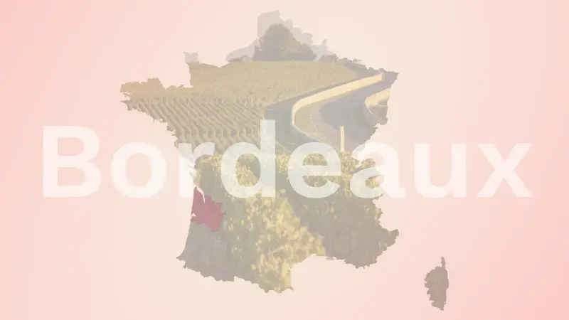 I grandi vini di Bordeaux: 10 Châteaux della Rive Gauche