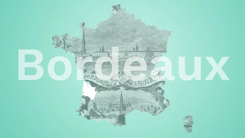 I grandi vini di Bordeaux: classificazione e mercati