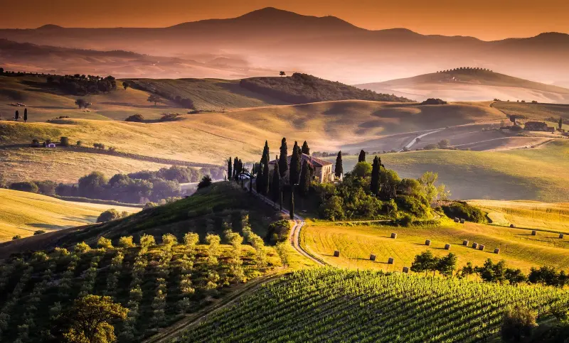 Super Tuscan: cosa sono e come nascono