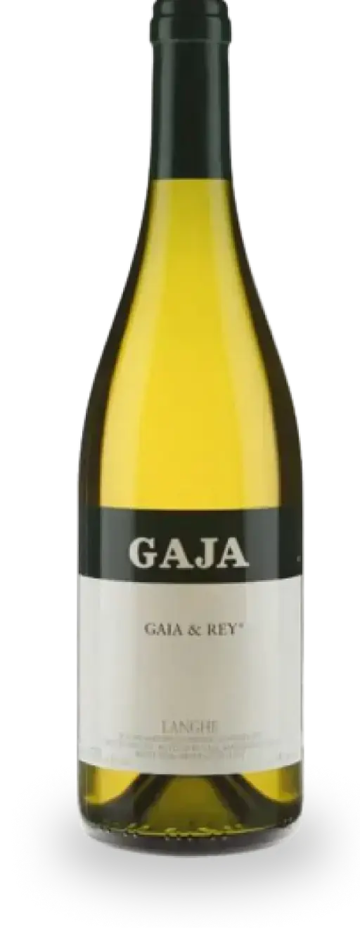 Gaia & Rey 2021