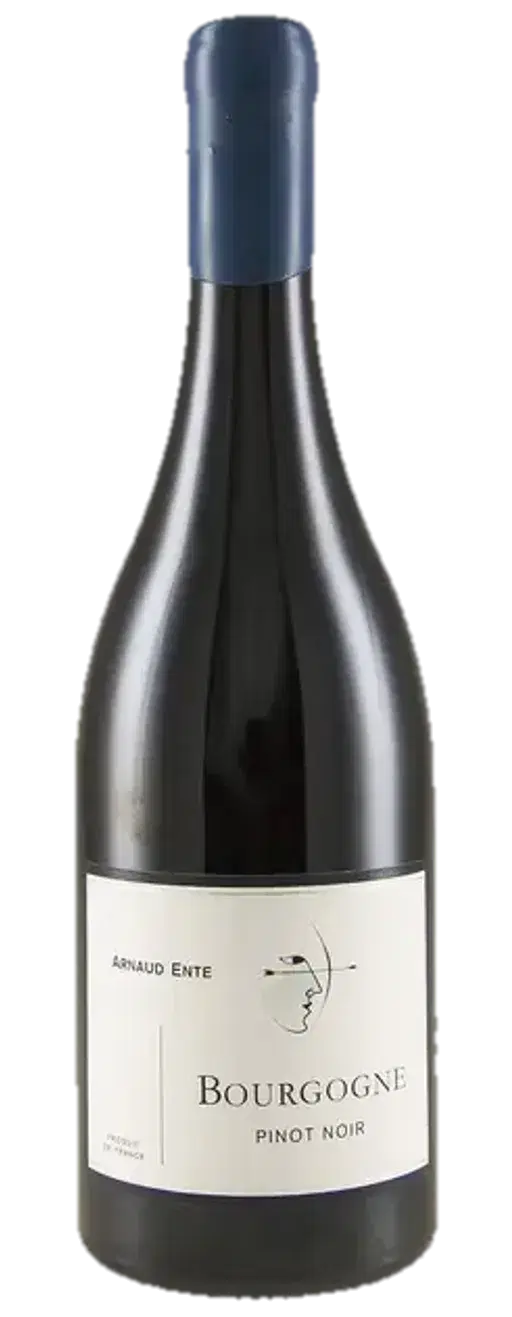 Bourgogne Pinot Noir 2017