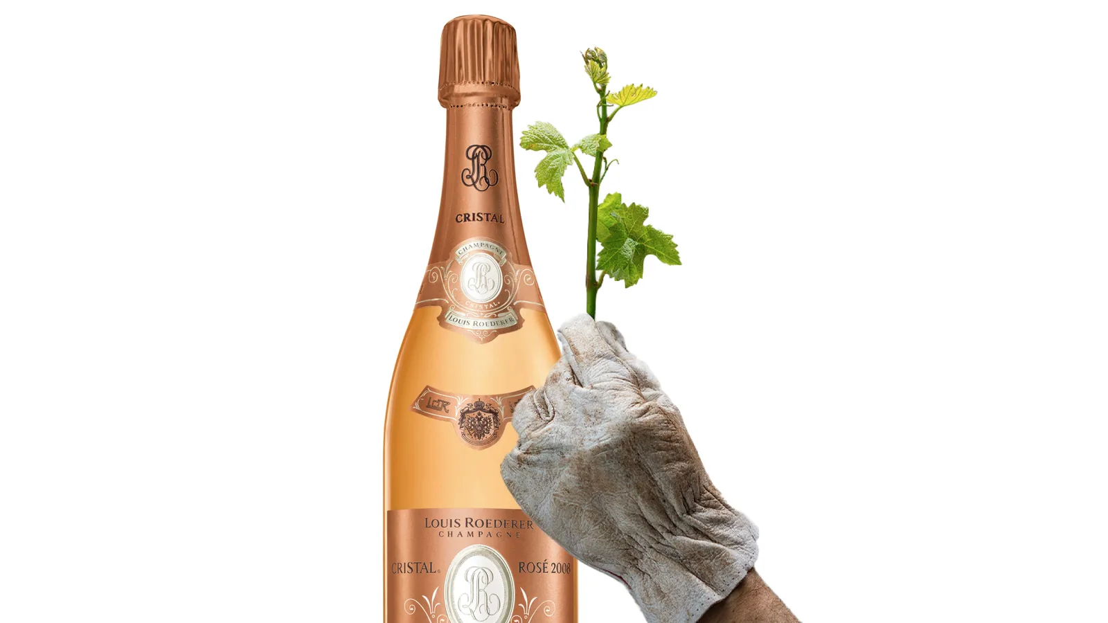 Cristal Rosé 2006 biodinamico