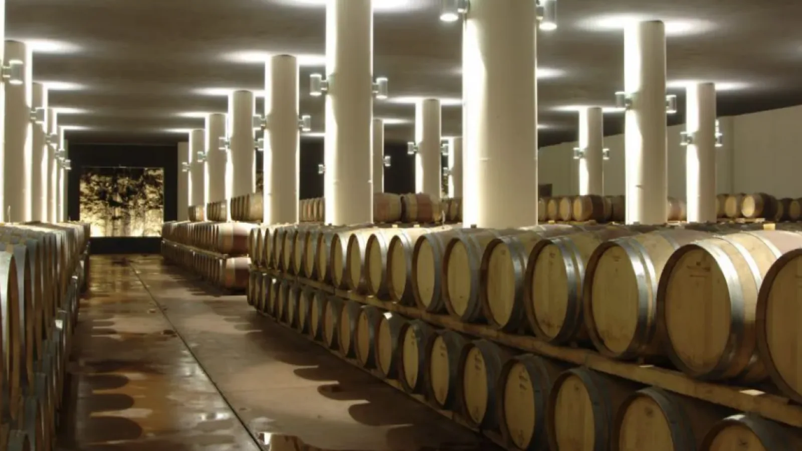 botti_cantina_mazzei